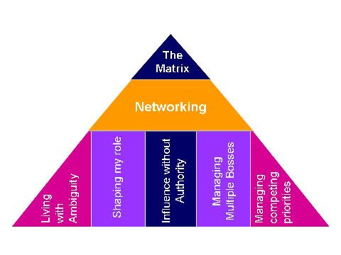 Matrix Management Structure