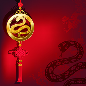 Snake charm with snake shadow
